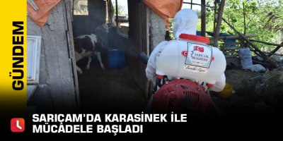 Sarıçam'da karasinek ile mücadele dönemi başladı