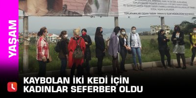 Kaybolan iki kedi için kadınlar seferber oldu