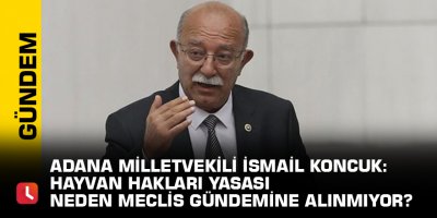 Adana Milletvekili İsmail Koncuk: Hayvan Hakları Yasası Neden Meclis Gündemine Alınmıyor?