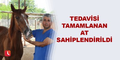 Tedavisi tamamlanan at sahiplendirildi