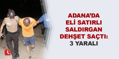 Adana’da eli satırlı saldırgan dehşet saçtı: 3 yaralı