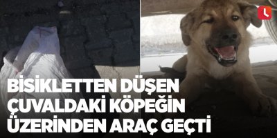 Bisikletten düşen çuvaldaki köpeğin üzerinden araç geçti