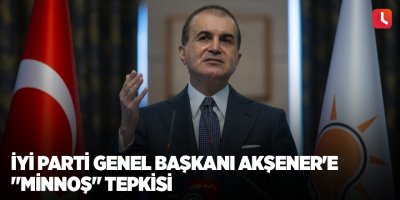 AK Parti Sözcüsü Çelik'ten, İYİ Parti Genel Başkanı Akşener'e "minnoş" tepkisi