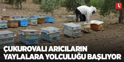 Çukurovalı arıcıların yaylalara yolculuğu başlıyor