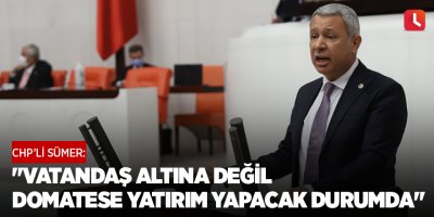 "Vatandaş altına değil domatese yatırım yapacak durumda"
