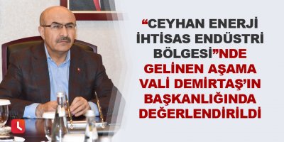“Ceyhan Enerji İhtisas Endüstri Bölgesi”nde Gelinen Aşama Vali Demirtaş’ın Başkanlığında Değerlendirildi