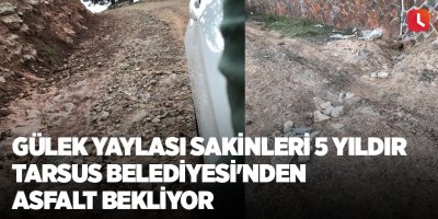 Gülek Yaylası sakinleri 5 yıldır Tarsus Belediyesi'nden asfalt bekliyor