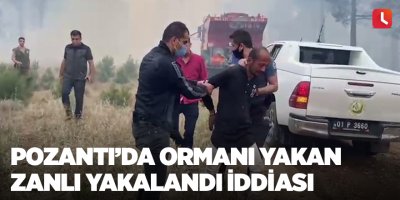 Pozantı’da ormanı yakan zanlı yakalandı iddiası