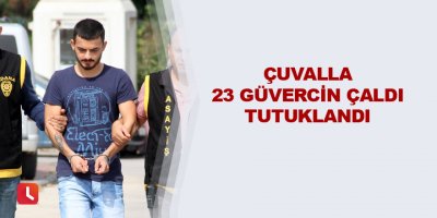 Çuvalla 23 güvercin çaldı tutuklandı