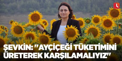 Şevkin: "Ayçiçeği tüketimini üreterek karşılamalıyız"