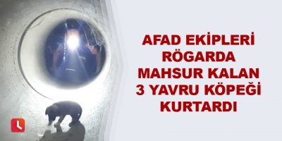 AFAD ekipleri rögarda mahsur kalan 3 yavru köpeği kurtardı