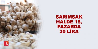 Sarımsak halde 15, pazarda 30 lira