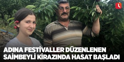 Adına festivaller düzenlenen Saimbeyli kirazında hasat başladı