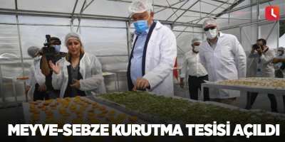 Meyve-sebze kurutma tesisi açıldı