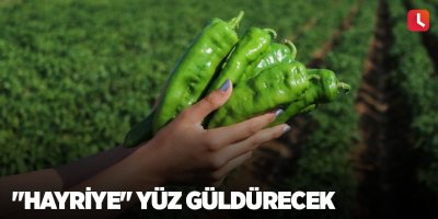"Hayriye" yüz güldürecek
