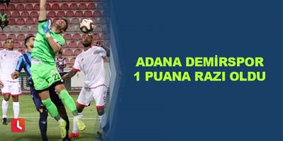 Adana Demirspor 1 puana razı oldu
