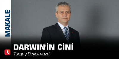 Darwin'in Cini