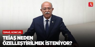 TEİAŞ neden özelleştirilmek isteniyor?