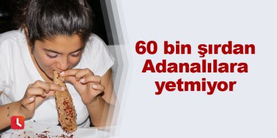 60 bin şırdan Adanalılara yetmiyor