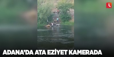 Adana’da ata eziyet kamerada