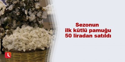 Sezonun ilk kütlü pamuğu 50 liradan satıldı
