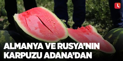 Almanya ve Rusya’nın karpuzu Adana’dan