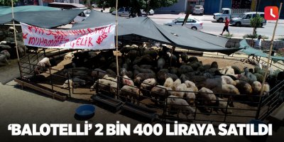 ‘Balotelli’ 2 bin 400 liraya satıldı