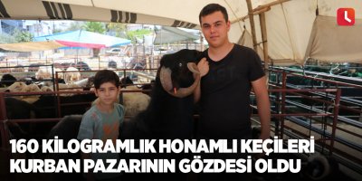 160 kilogramlık Honamlı Keçileri kurban pazarının gözdesi oldu