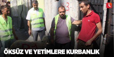 Öksüz ve yetimlere kurbanlık