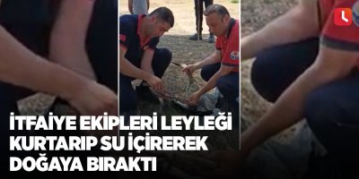 İtfaiye ekipleri leyleği kurtarıp su içirerek doğaya bıraktı