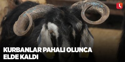 Kurbanlar pahalı olunca elde kaldı