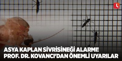 Asya Kaplan Sivrisineği alarmı! Prof. Dr. Kovancı'dan önemli uyarılar
