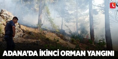 Adana'da ikinci orman yangını