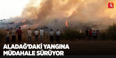 Aladağ’daki yangına müdahale sürüyor