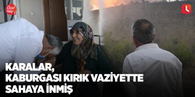 Karalar, kaburgası kırık vaziyette sahaya inmiş