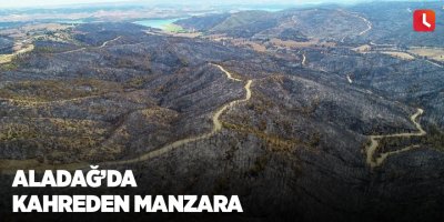 Aladağ’da kahreden manzara