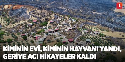 Kiminin evi, kiminin hayvanı yandı, geriye acı hikayeler kaldı