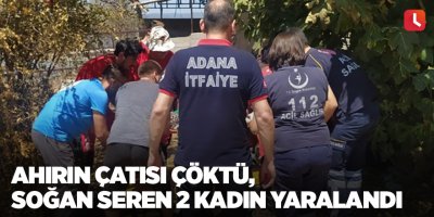 Ahırın çatısı çöktü, soğan seren 2 kadın yaralandı