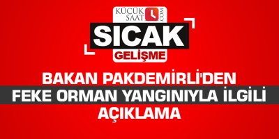 Bakan Pakdemirli'den Feke orman yangınıyla ilgili açıklama