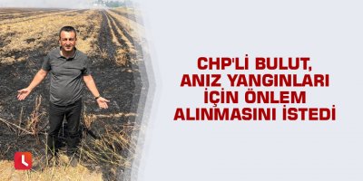 CHP'li Bulut, Anız yangınları için önlem alınmasını istedi