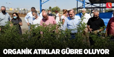 Organik atıklar gübre oluyor