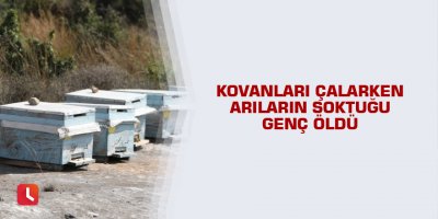 Kovanları çalarken arıların soktuğu genç öldü