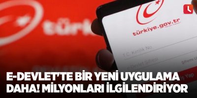 e-Devlet'te bir yeni uygulama daha! Milyonları ilgilendiriyor