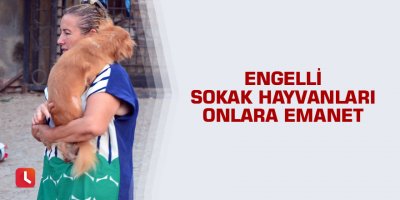 Engelli sokak hayvanları onlara emanet