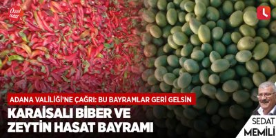Karaisalı Biber Ve Zeytin Hasat Bayramı