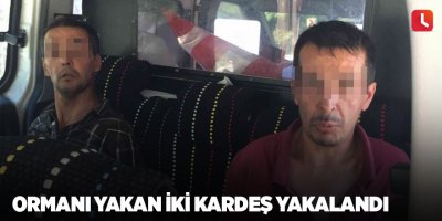 Ormanı yakan iki kardeş yakalandı