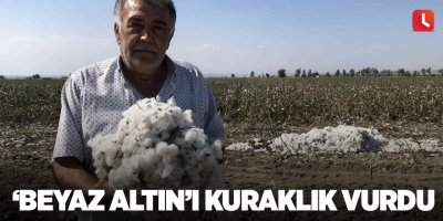 ’Beyaz altın’ı kuraklık vurdu