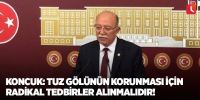 Koncuk: Tuz gölünün korunması için radikal tedbirler alınmalıdır!