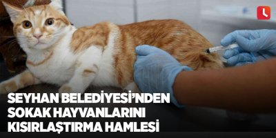 Seyhan Belediyesi'nden sokak hayvanlarını kısırlaştırma hamlesi