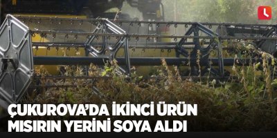 Çukurova’da ikinci ürün mısırın yerini soya aldı